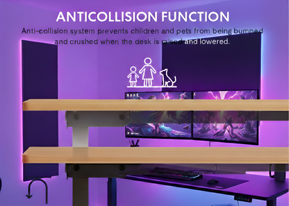 Electric Standing Desk