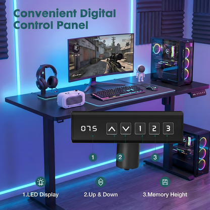 Electric Standing Desk